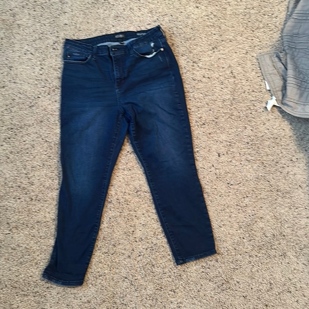 Judy blue jeans size 15